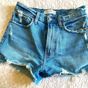 Abercrombie and Fitch Curve Love High Rise Shorts - Size 2